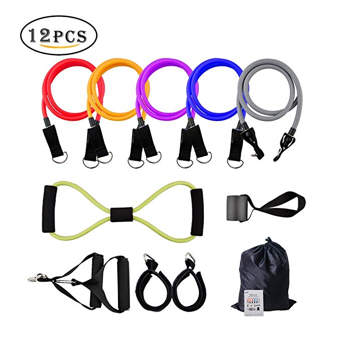 BIAL Resistance Bands Set with Door Anchor, 12 PCS Exercise Bands Includes Exercise Chart with Carrying Bag Perfect for Any Home Fitness Training - Workout Abs, Arms, Legs and Back